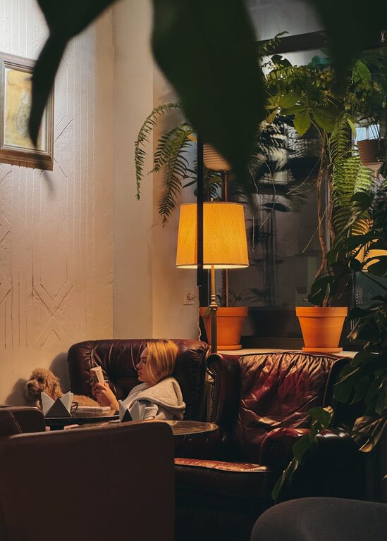 How to Create a Cozy and Inviting Reading Nook at Home